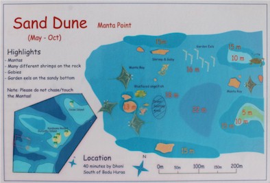 Sand Dune
